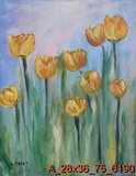 Yellow Tulips