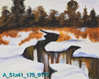 Winter Reflection