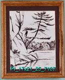 Pine on Cliff