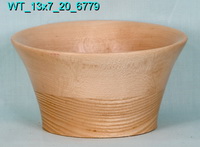 Soup Bowl