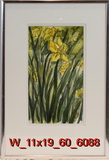 Daffodils in Spring