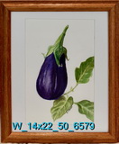 Aubergine