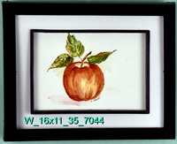 Apple Fresh Off The tree