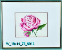 Pink Peony