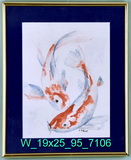 Koi