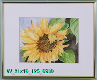 Sunflower – solo