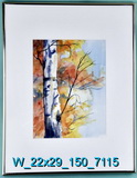 Autumn Birch