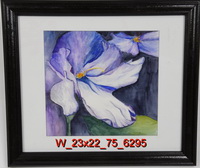 African Violet