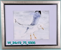 Seagull Landing