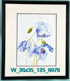Himalayan Poppies