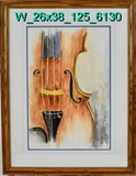 Partial Violin