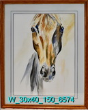 Phantom Horse