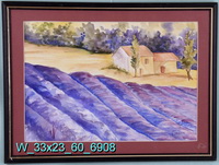 Lavender in Bloom