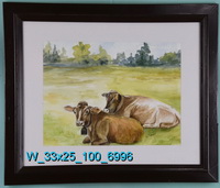 Cows Resting