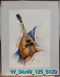 Lute
