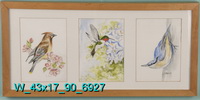 Bird Trio